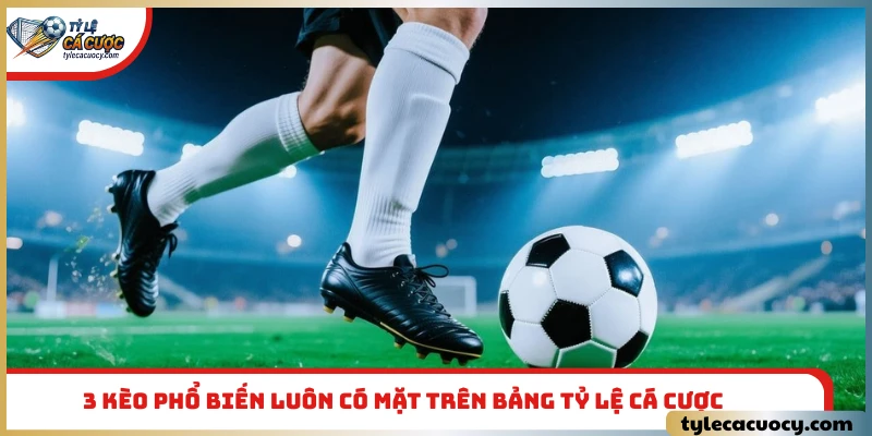 3 kèo phổ biến luôn có mặt trên bảng tỷ lệ cá cược