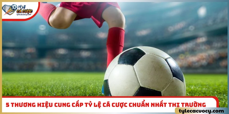 5 thương hiệu cung cấp tỷ lệ cá cược chuẩn nhất thị trường