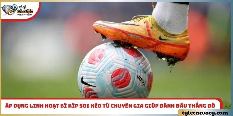 Áp dụng linh hoạt bí kíp soi kèo từ chuyên gia giúp đánh đâu thắng đó