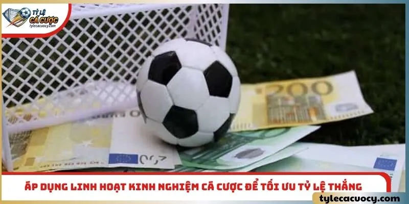 Áp dụng linh hoạt kinh nghiệm cá cược để tối ưu tỷ lệ thắng