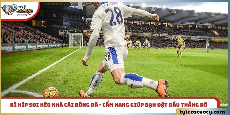 Soi kèo nhà cái bóng đá dựa trên chu kỳ phong độ