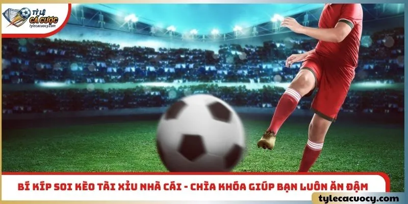 Bí kíp soi kèo tài xỉu nhà cái - Chìa khóa giúp bạn luôn ăn đậm
