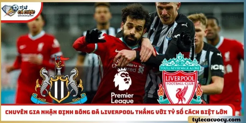 Chuyên gia nhận định bóng đá Liverpool thắng với tỷ số cách biệt lớn
