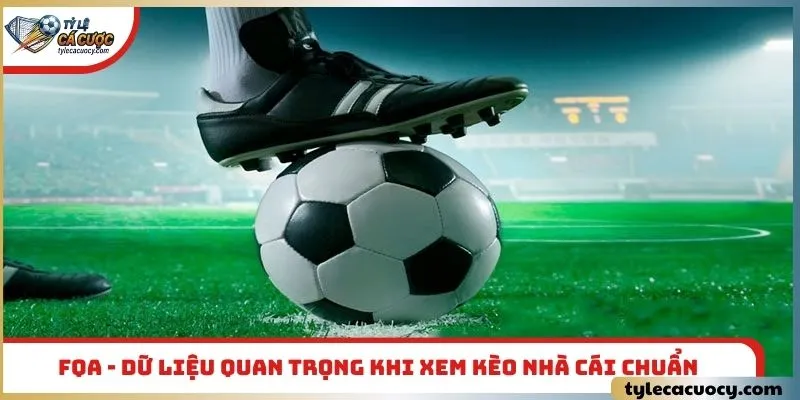 FQA - Dữ liệu quan trọng khi xem kèo nhà cái chuẩn