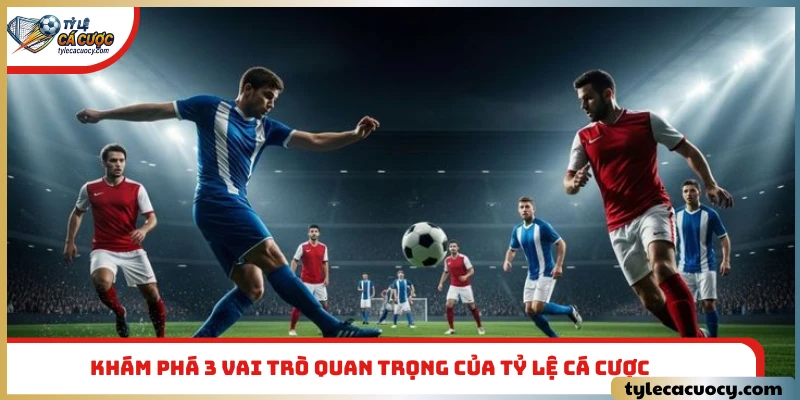 Khám phá 3 vai trò quan trọng của tỷ lệ cá cược