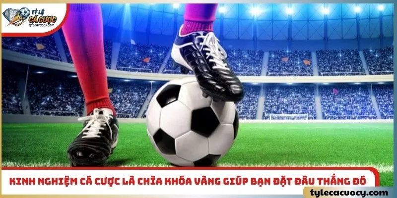 Kinh nghiệm cá cược là chìa khóa vàng giúp bạn đặt đâu thắng đó