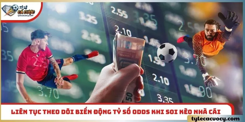 Liên tục theo dõi biến động tỷ số odds khi soi kèo nhà cái