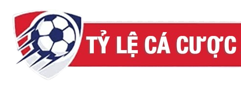 tylecacuocy.com