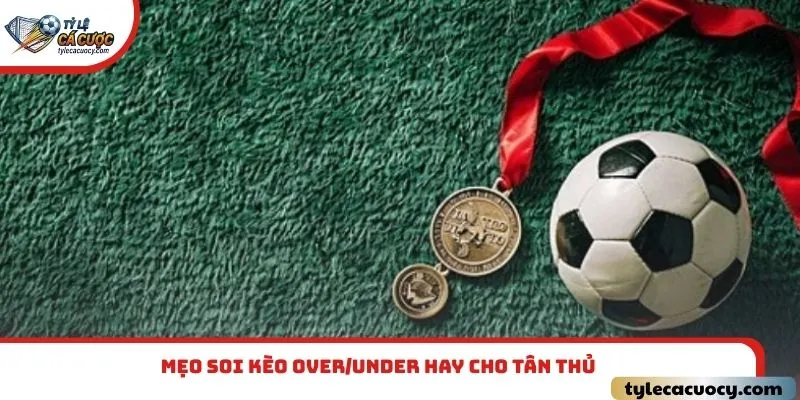 Mẹo soi kèo Over/Under hay cho tân thủ