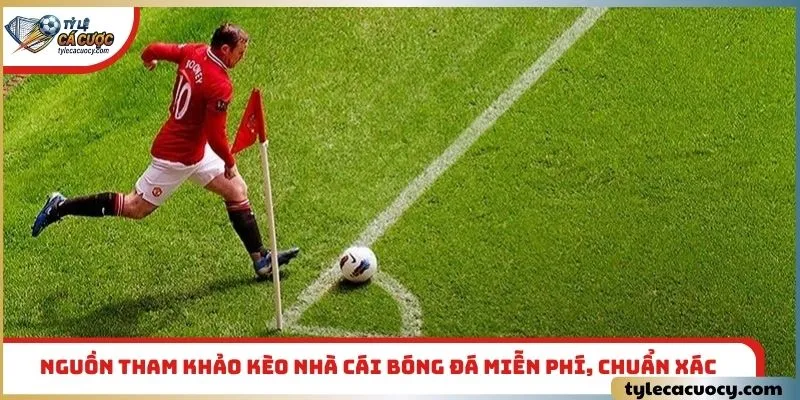 Nguồn tham khảo kèo nhà cái bóng đá miễn phí, chuẩn xác