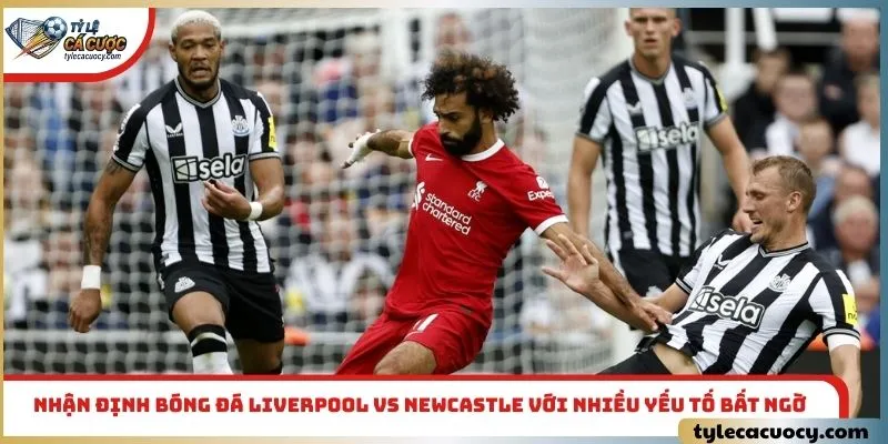 Nhận định bóng đá Liverpool vs Newcastle với nhiều yếu tố bất ngờ
