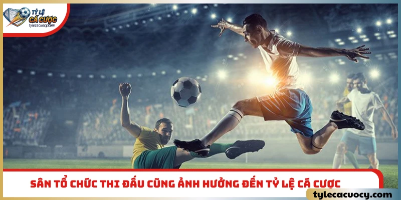 Sân tổ chức thi đấu cũng ảnh hưởng đến tỷ lệ cá cược