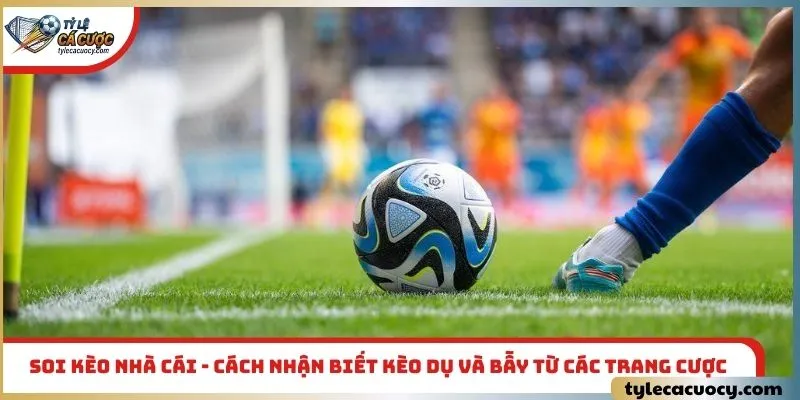 soi kèo nhà cái