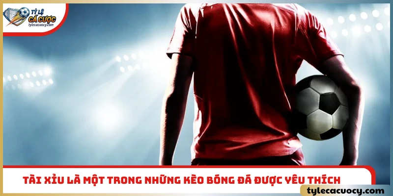 Tài Xỉu là một trong những kèo bóng đá được yêu thích