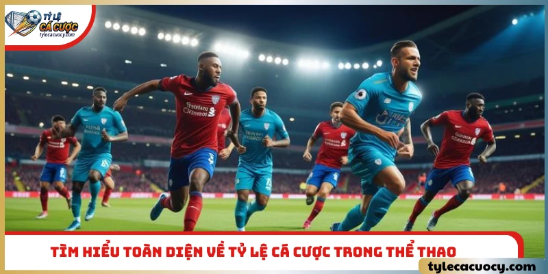 Tìm hiểu toàn diện về tỷ lệ cá cược trong thể thao