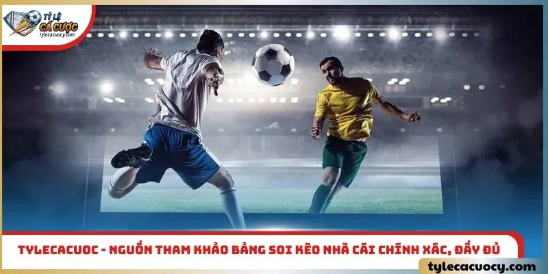 Tylecacuoc - Nguồn tham khảo bảng soi kèo nhà cái chính xác, đầy đủ